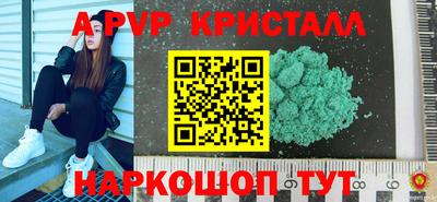 гашик Будённовск