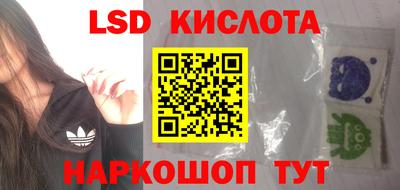 гашик Будённовск