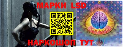 гашик Будённовск