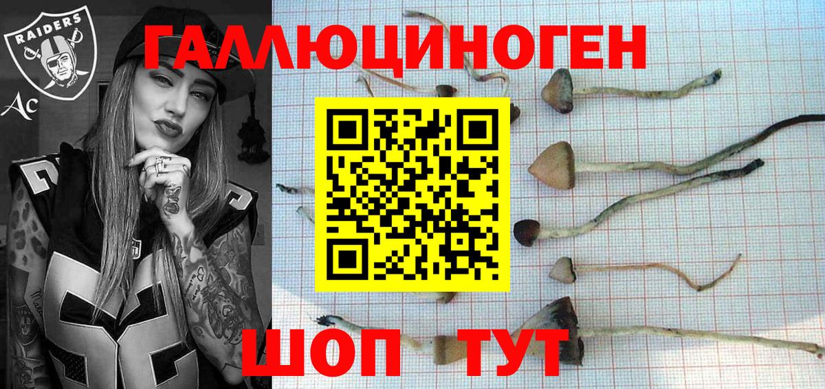 Новокуйбышевск  Псилоцибиновые грибы прущие грибы  Вход с VPN 